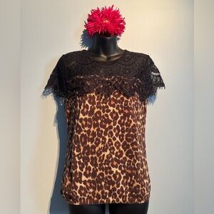 Ann Taylor Lace And Leopard Knit Too